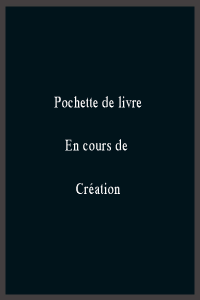 Couverture L'étrange Affaire des Automates Disparus